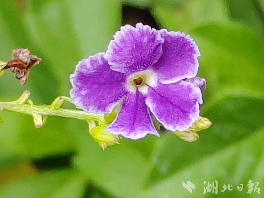 澳门威斯尼斯人58404